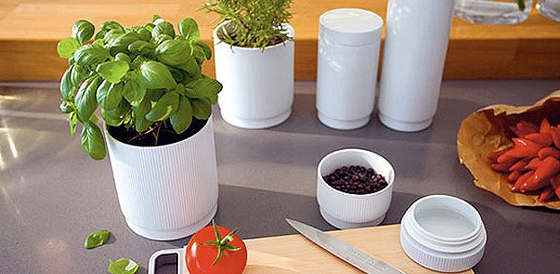 Accessoires-4